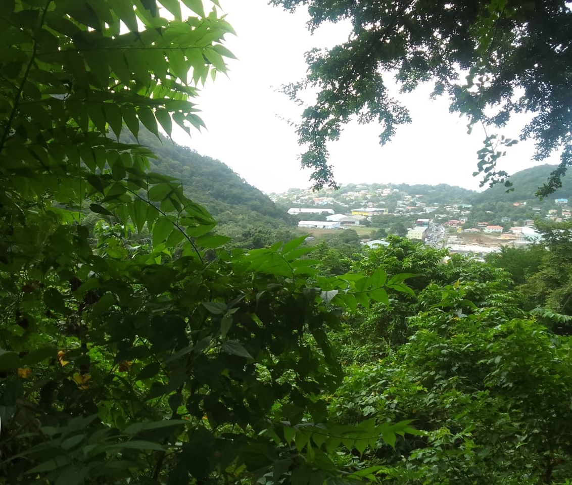 st lucia real estate: Land For Sale In Bois D’Orange 22,000 SF view