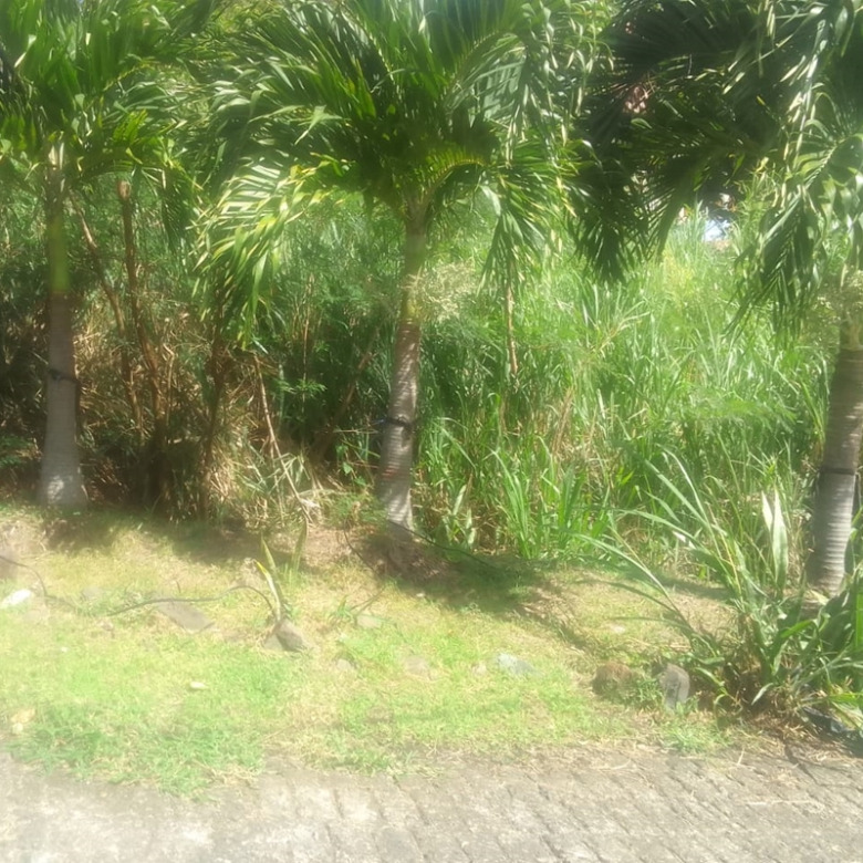 st lucia real estate land for sale in monchy gros islet tress palms
