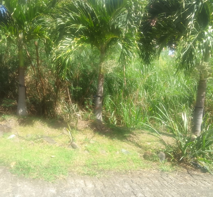 st lucia real estate land for sale in monchy gros islet tress palms