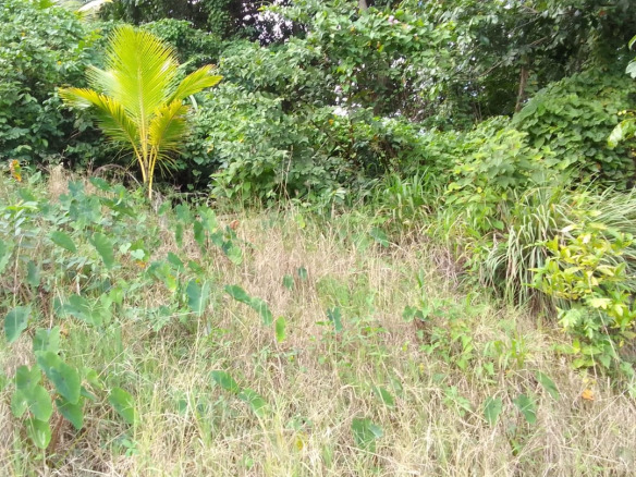 This Land For Sale In Vanard is located in the community of Vanard in Castries. Get away from it all with this property, enjoy quiet commun