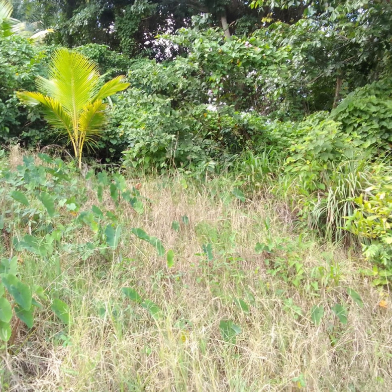 Land For Sale In Vanard Castries