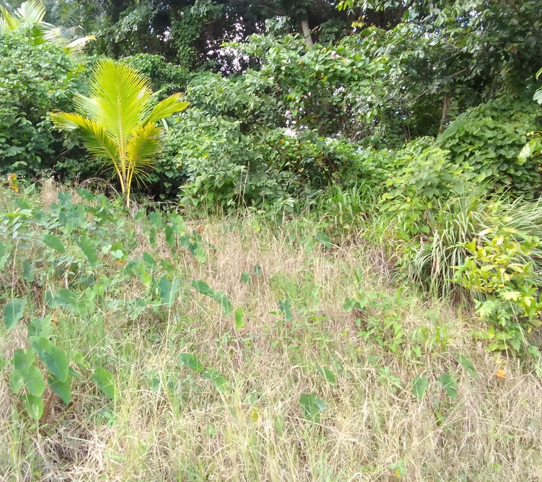 This Land For Sale In Vanard is located in the community of Vanard in Castries. Get away from it all with this property, enjoy quiet commun