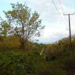 St Lucia ral estate Land For Sale In Anse La Raye st lucia