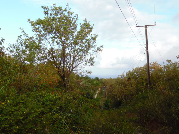 St Lucia ral estate Land For Sale In Anse La Raye st lucia