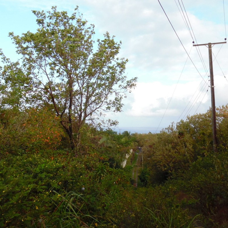 Land For Sale In Anse La Raye