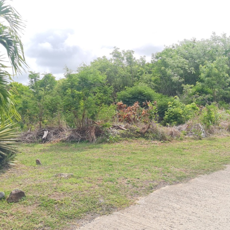 St lucia real estate zillow land