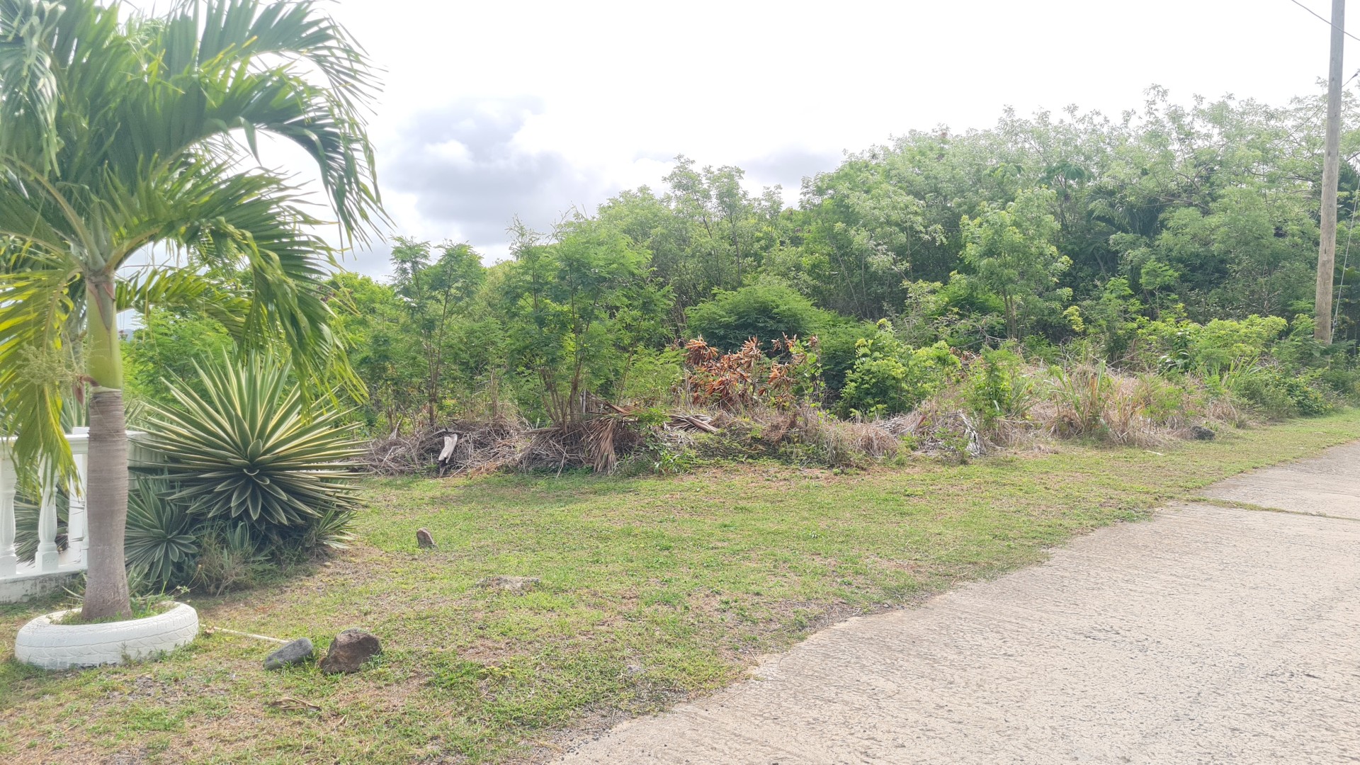 escap land for sale1 St lucia real estate zillow land