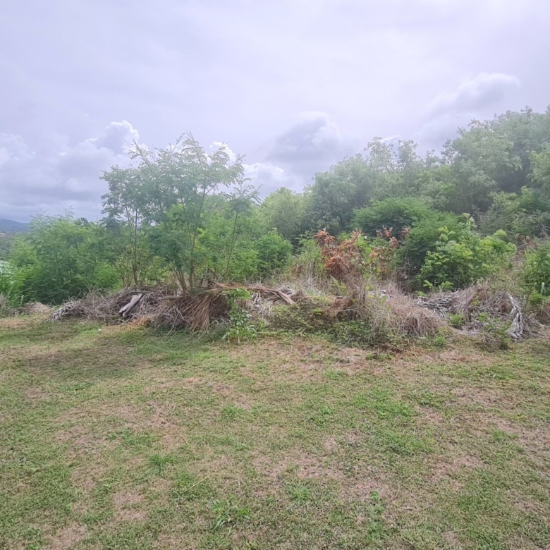 St lucia real estate zillow flat land