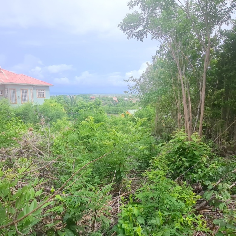 St lucia real estate zillow bush