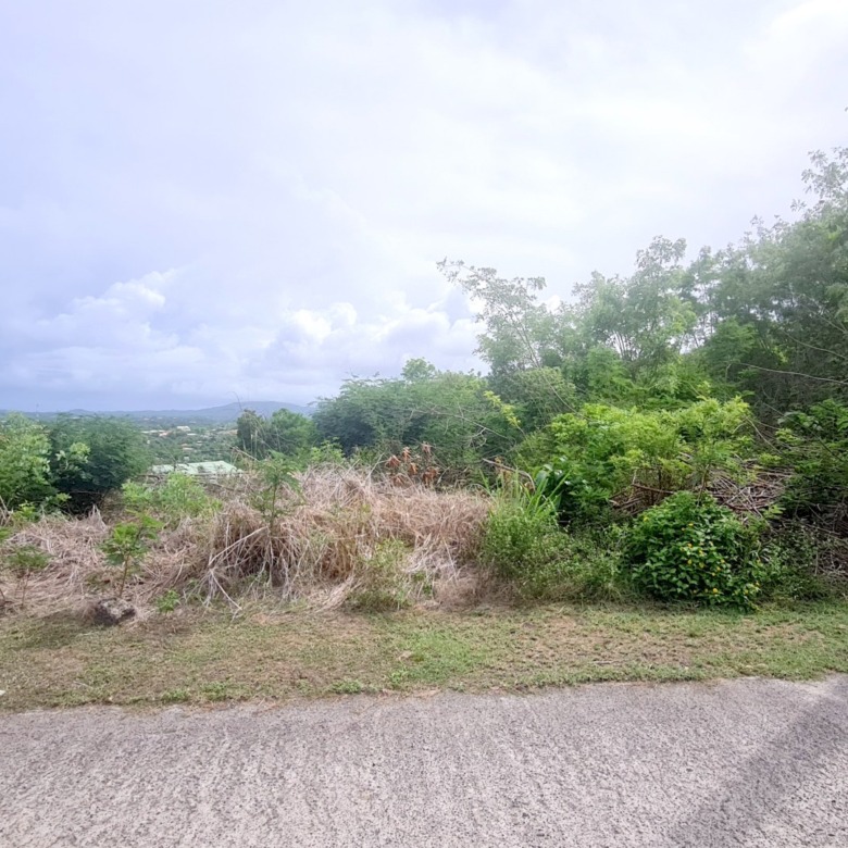 St lucia real estate zillow shrubs