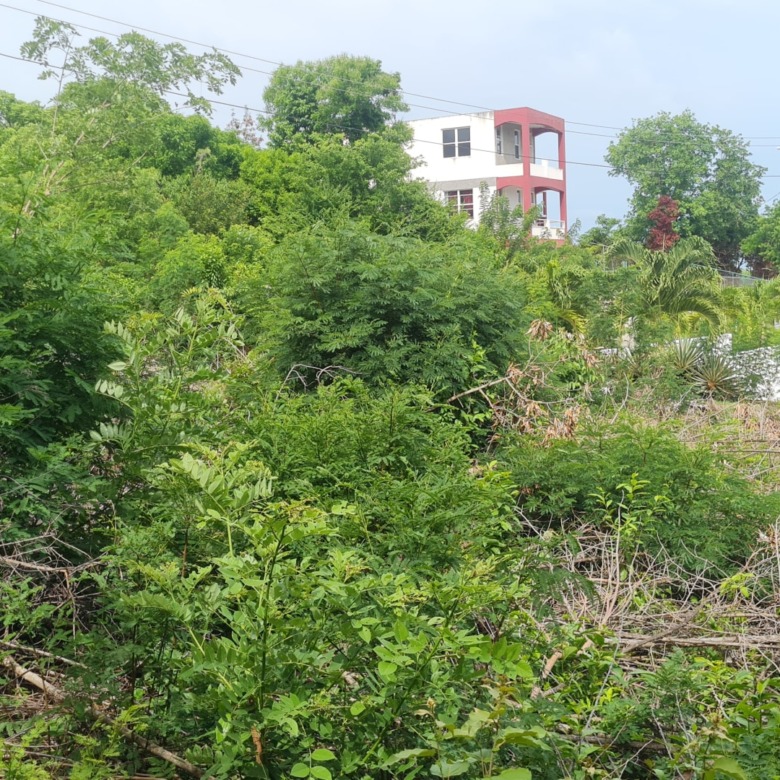 St lucia real estate zillow houses