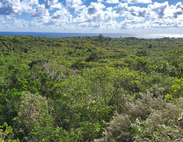 st lucia real estate Lots for Sale In Dugard Phase2 view