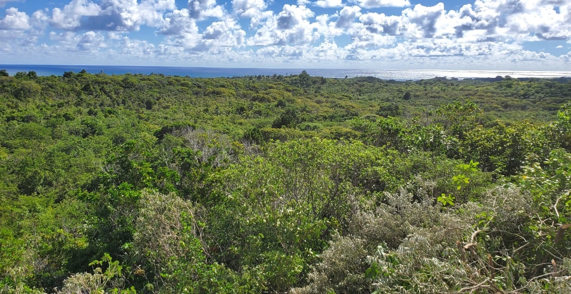 st lucia real estate Lots for Sale In Dugard Phase2 view