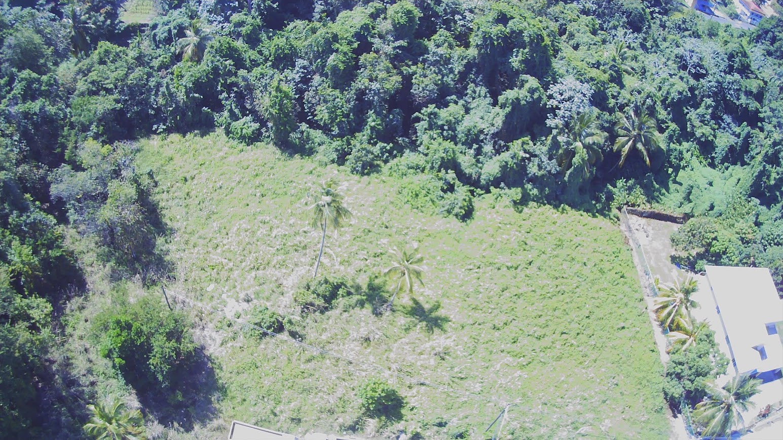 Land For Sale in Millennium Heights