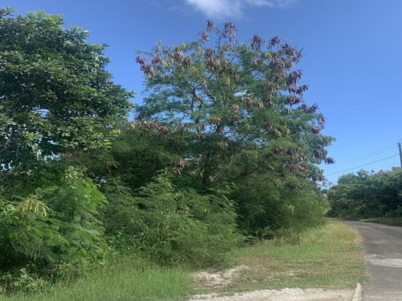 land for sale cap estate south sills