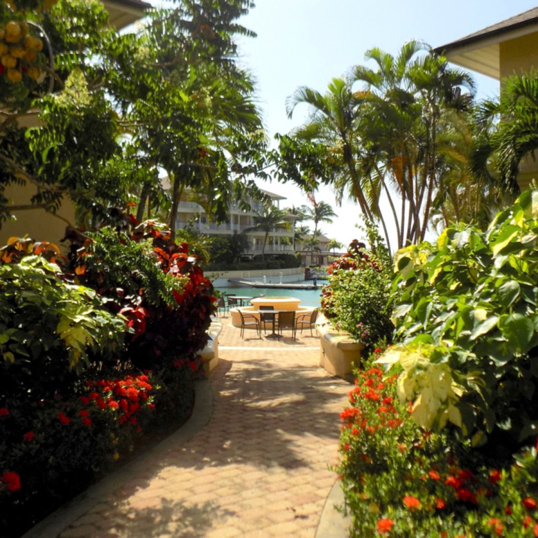 St Lucia real estate LANDINGS UNIT NO 1204 RENTAL for re footpathnt