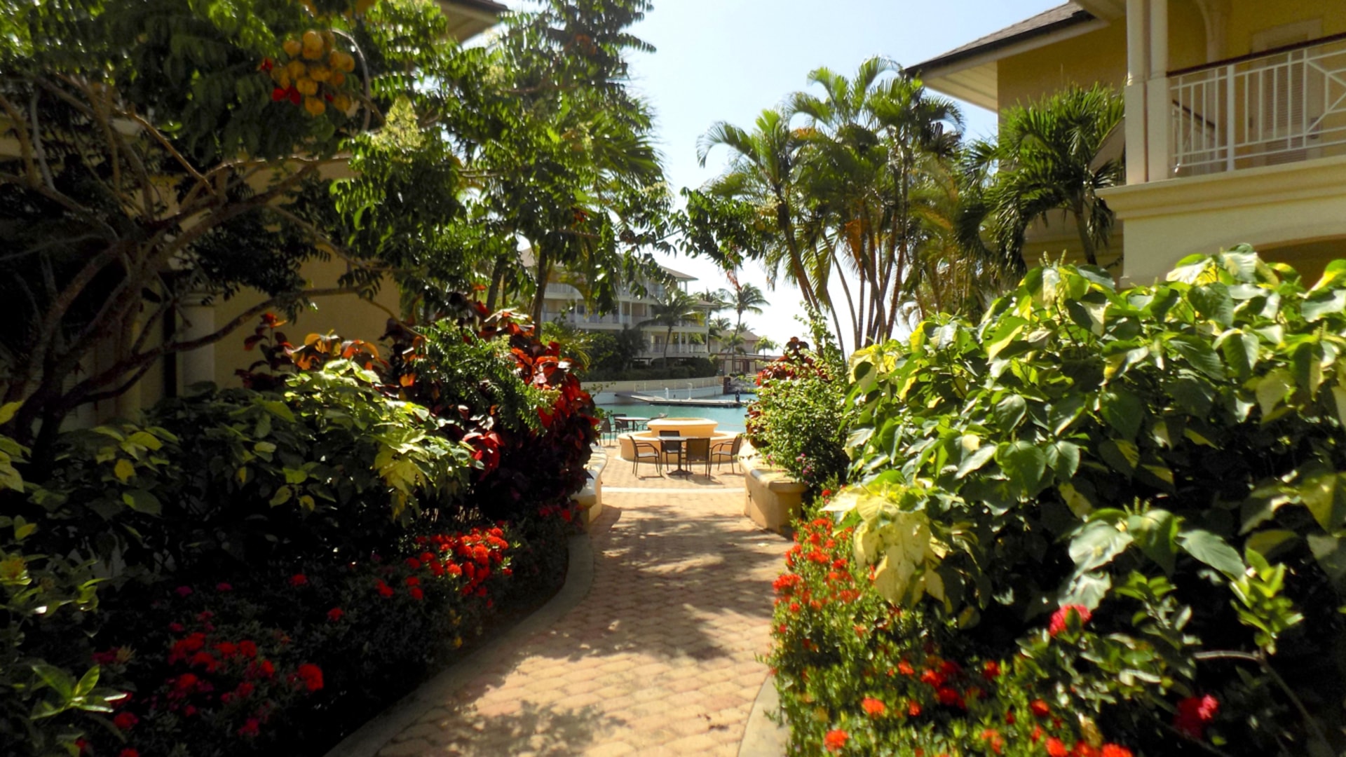 St Lucia real estate LANDINGS UNIT NO 1204 RENTAL for re footpathnt