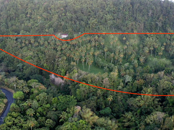 23 Acres Choiseul Land For Sale St Lucia