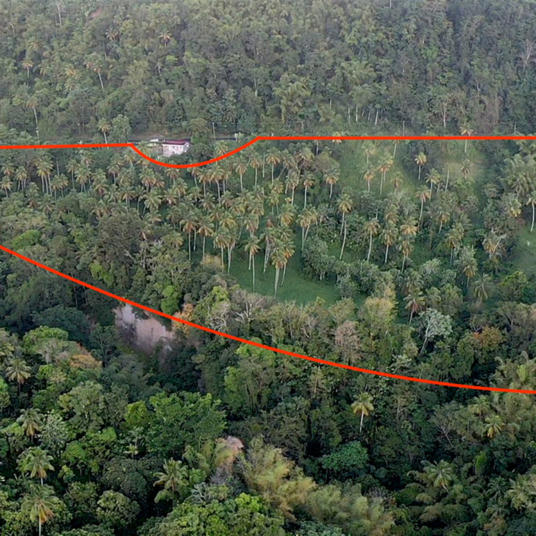 23 Acres Choiseul Land For Sale