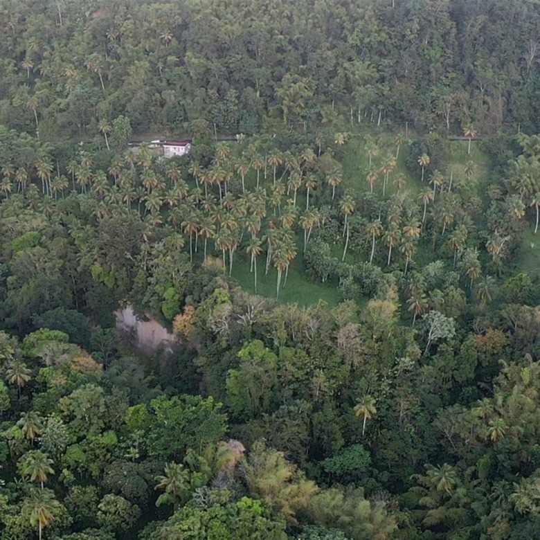 23 Acres Choiseul Land For Sale