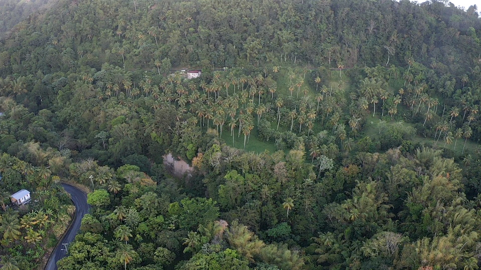 23 Acres Choiseul Land For Sale