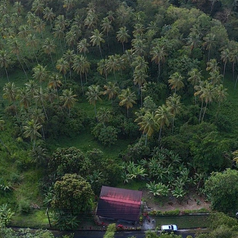 23 Acres Choiseul Land For Sale