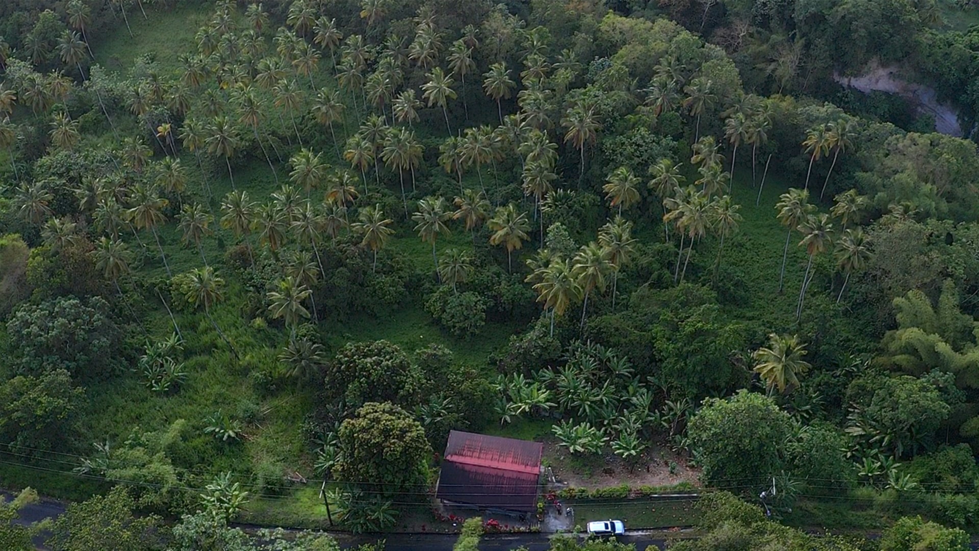 23 Acres Choiseul Land For Sale