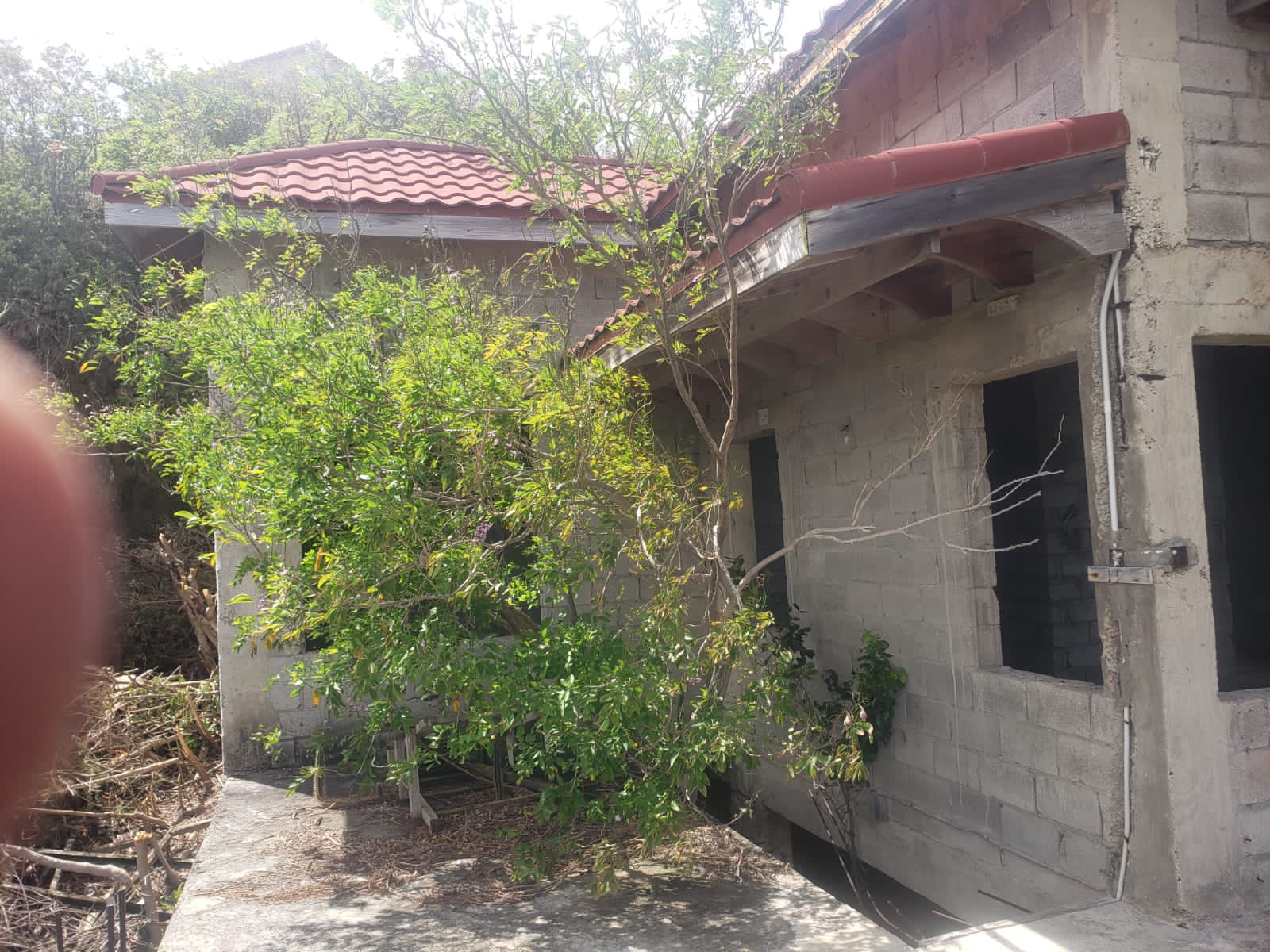80be5a2b-85f5-4590-b9de-75af1f8bef4d Unfinished Villa For Sale in Cap Estate st lucia shrubs