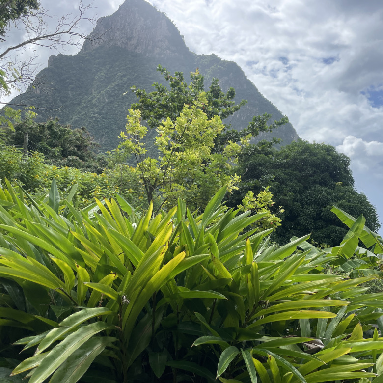 St Lucia Real estate villa for sale in soufriere piton backdrop