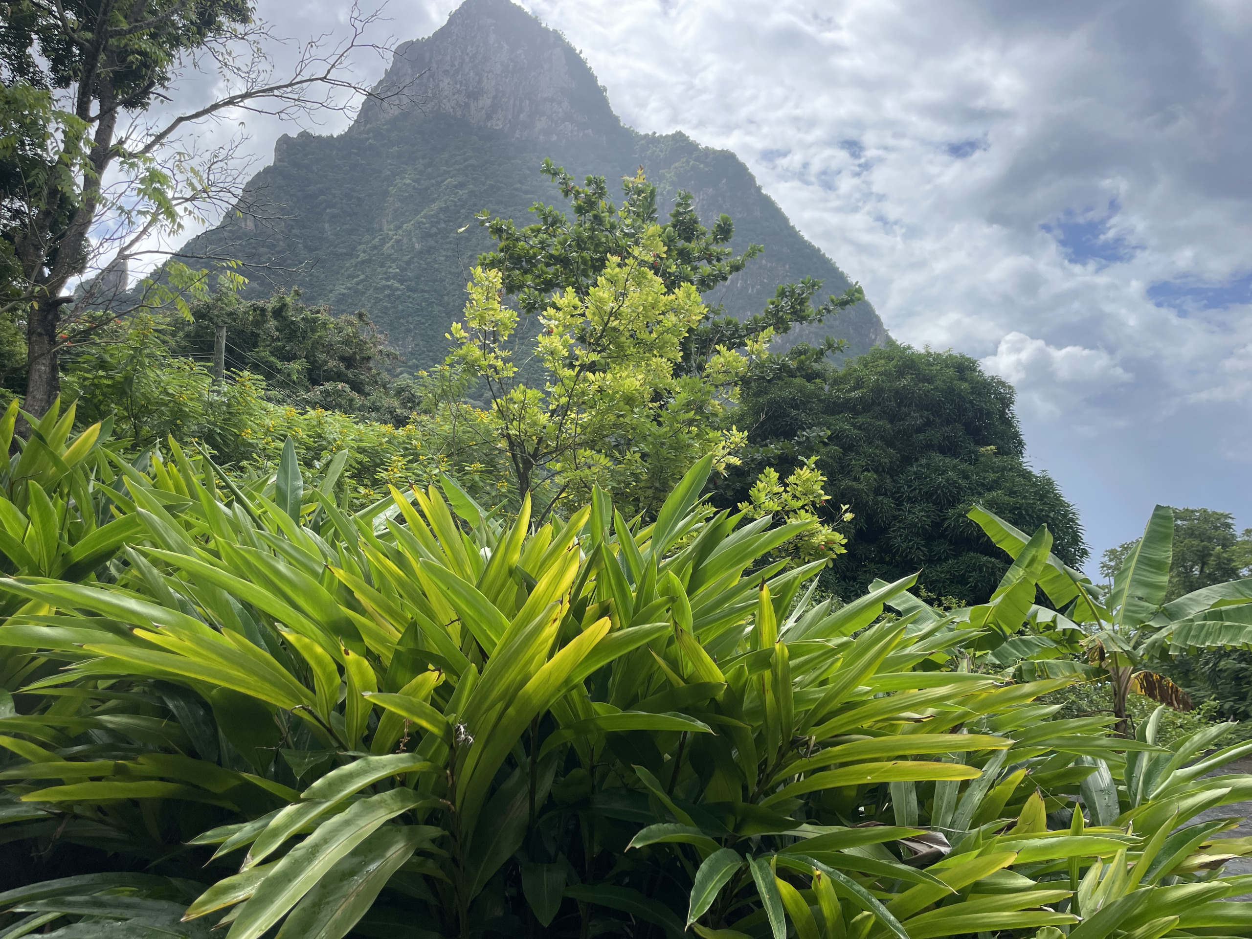 St Lucia Real estate villa for sale in soufriere piton backdrop