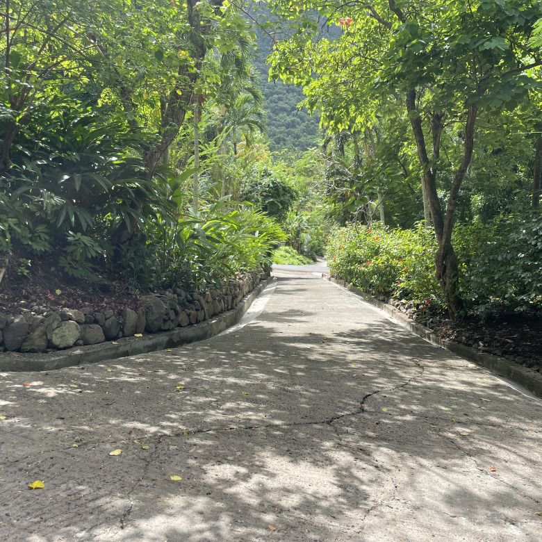 St Lucia Real estate villa for sale in soufriere driveway concrete