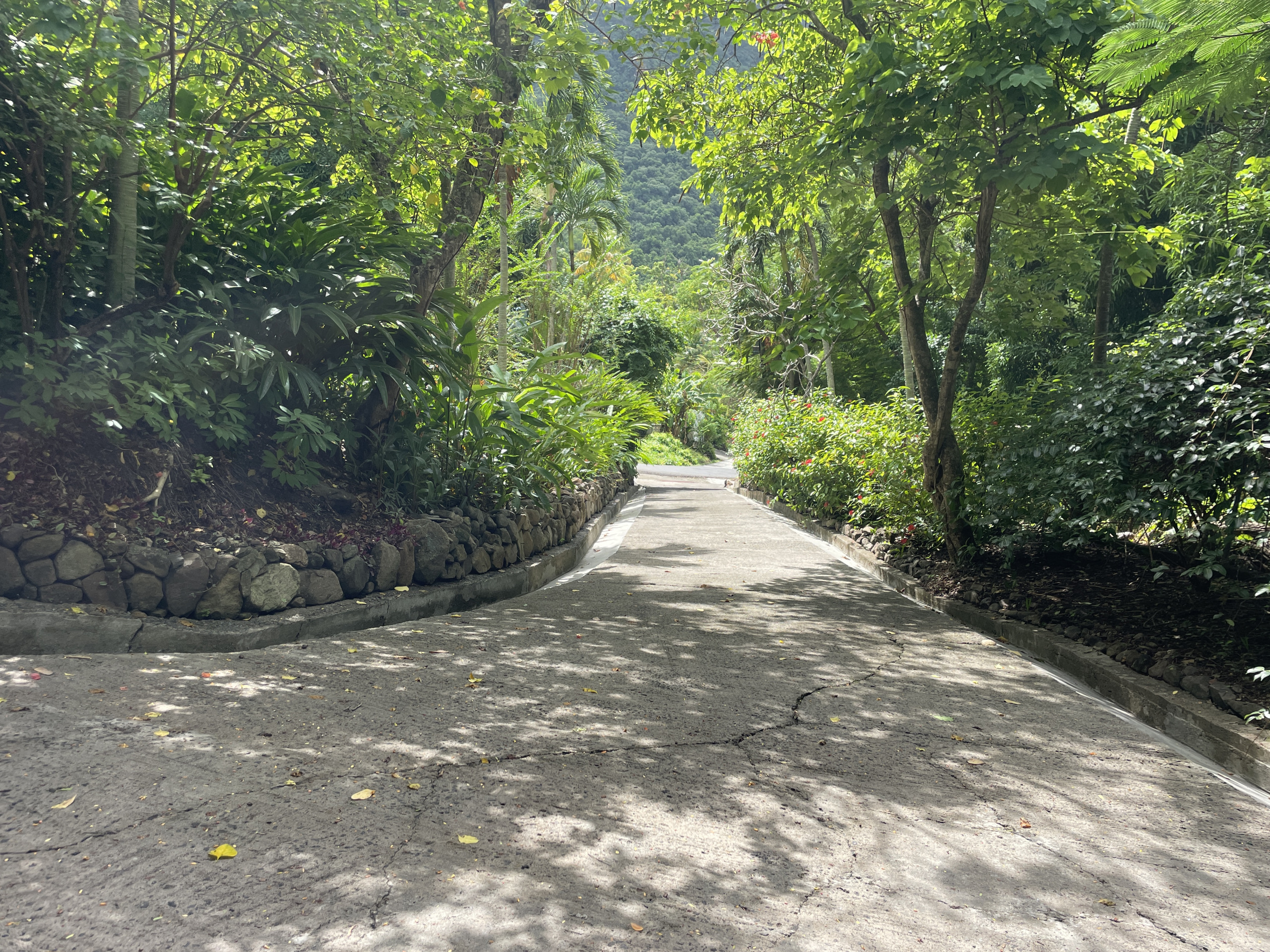 St Lucia Real estate villa for sale in soufriere driveway concrete