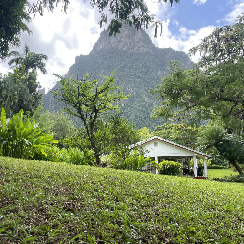 St Lucia Real estate villa for sale in soufriere piton view