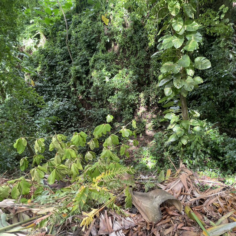 St Lucia Real estate villa for sale in soufriere river