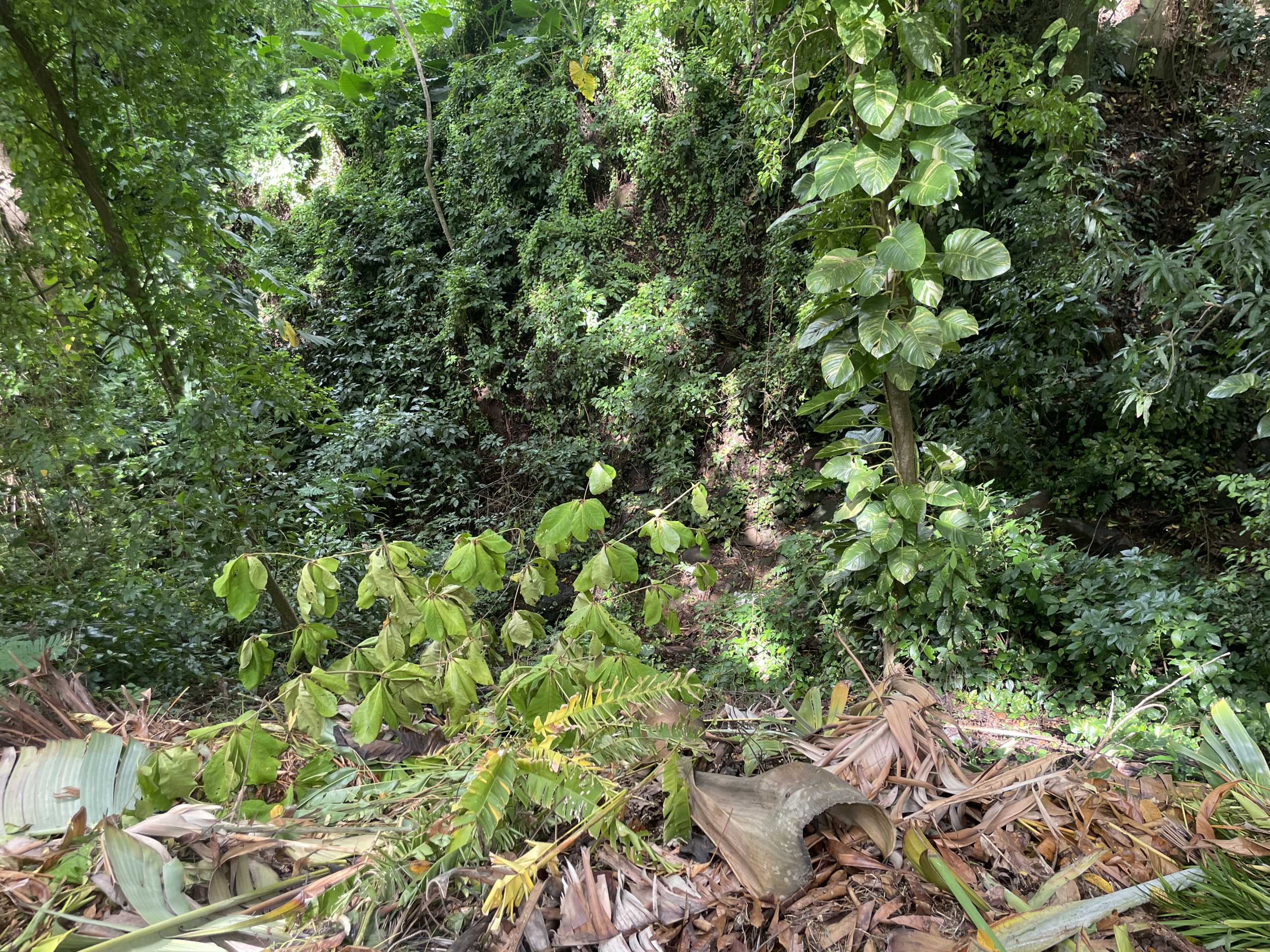 St Lucia Real estate villa for sale in soufriere river