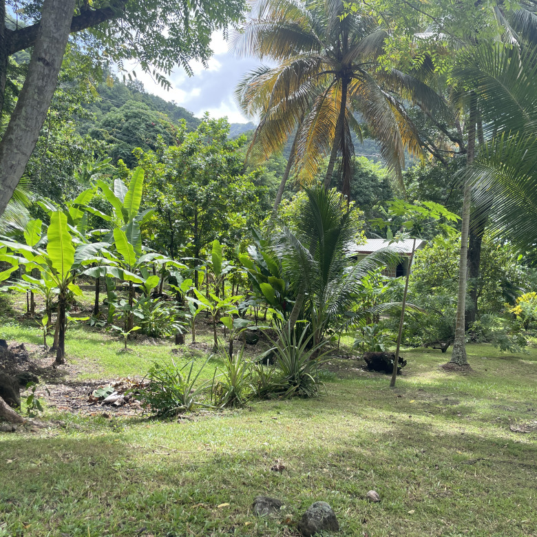 St Lucia Real estate villa for sale in soufriere trees