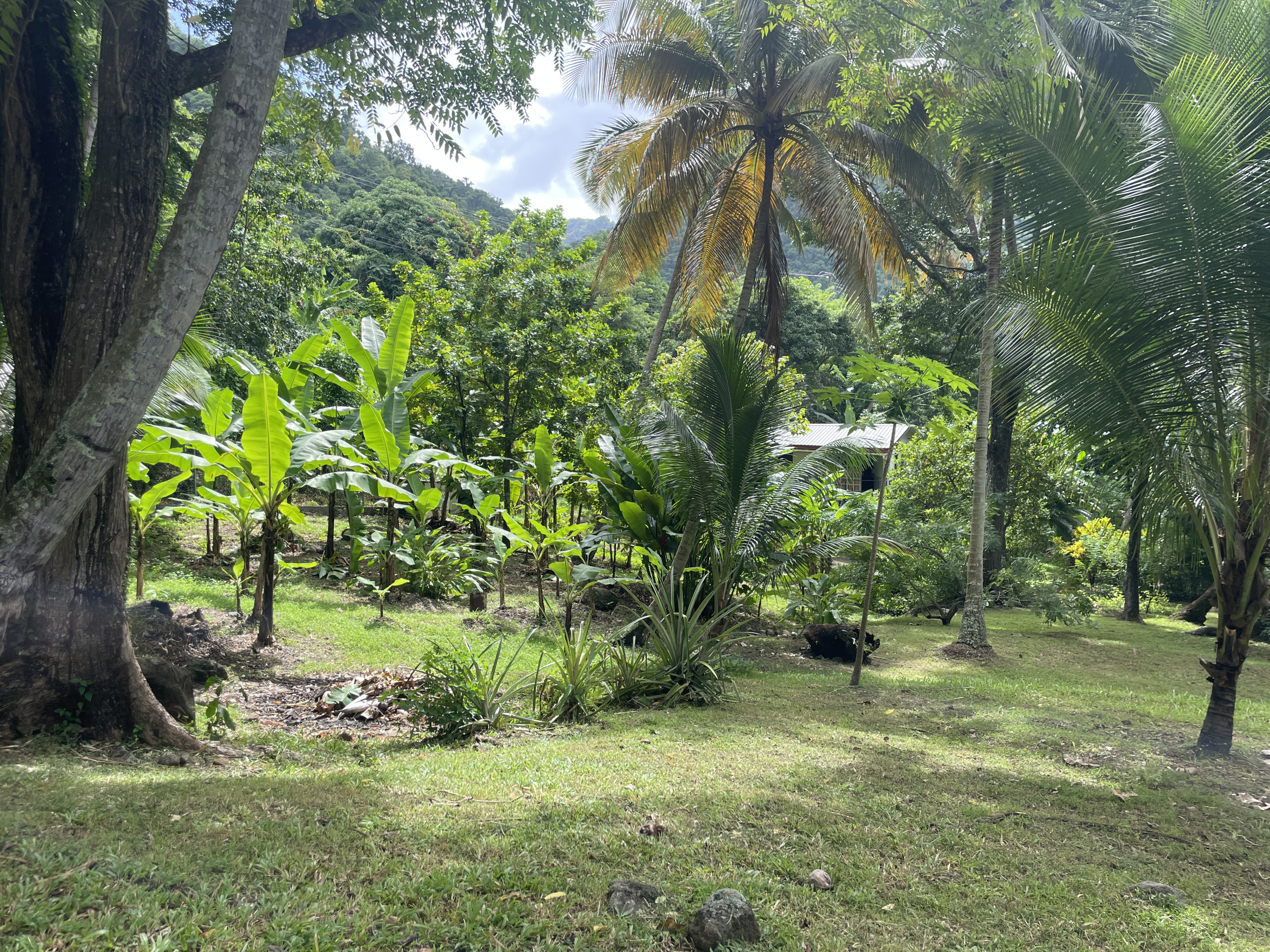 St Lucia Real estate villa for sale in soufriere trees