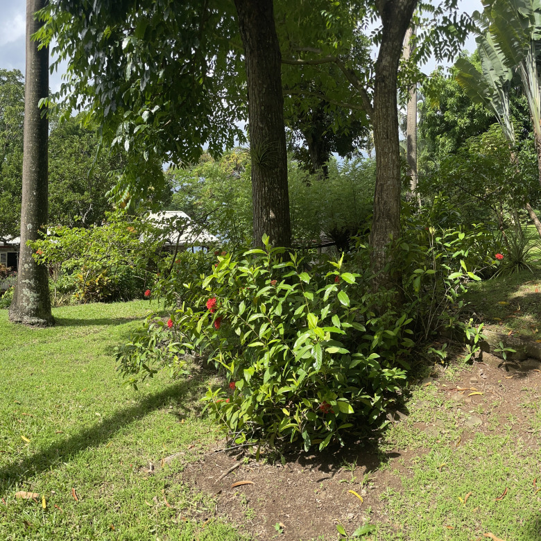 St Lucia Real estate villa for sale in soufriere entire yard