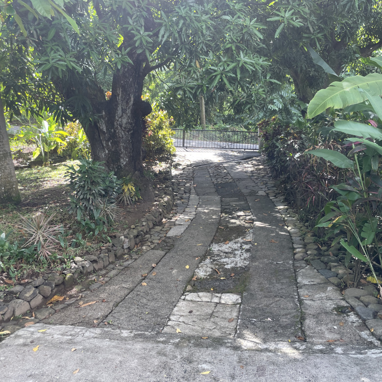 St Lucia Real estate villa for sale in soufriere driveway