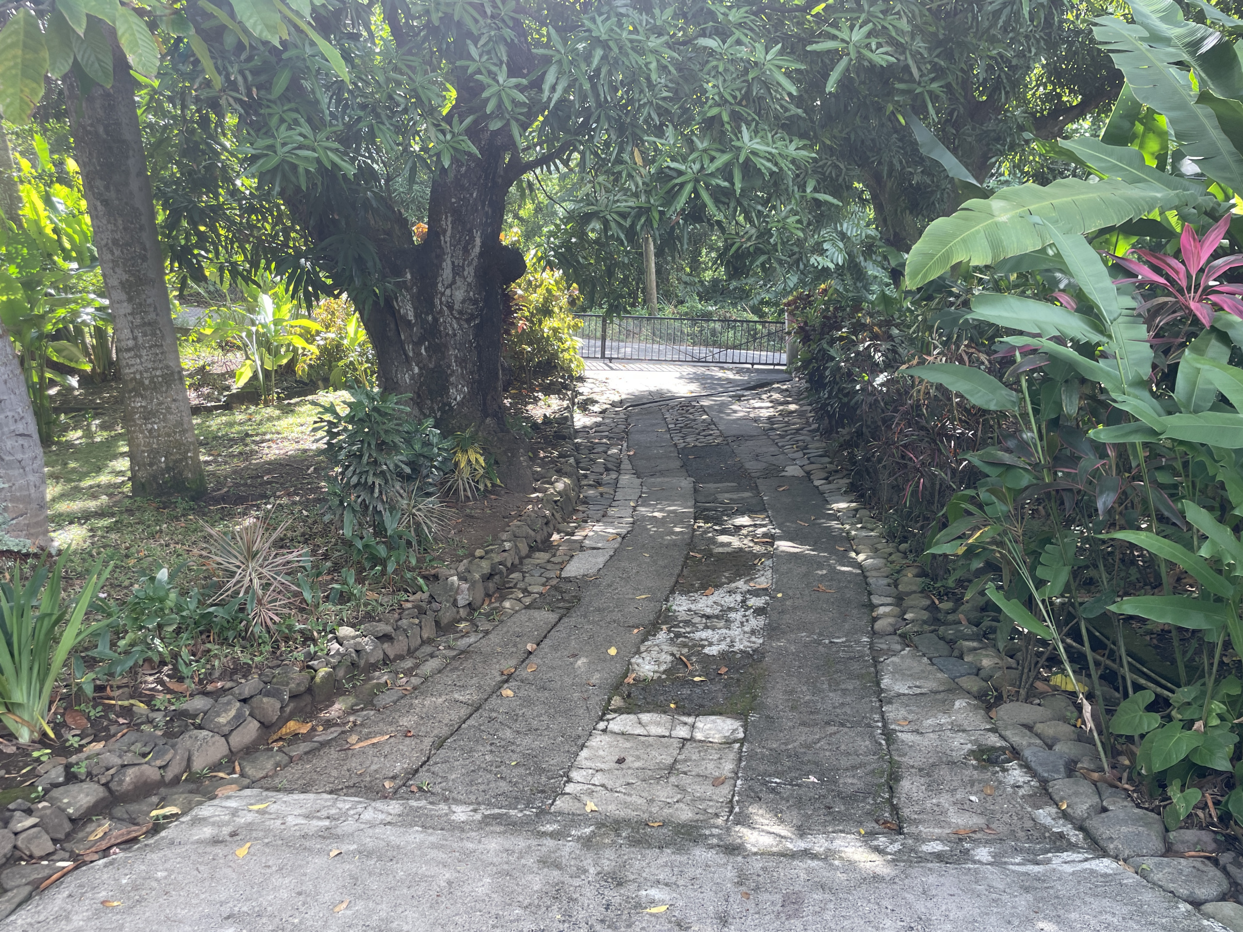St Lucia Real estate villa for sale in soufriere driveway