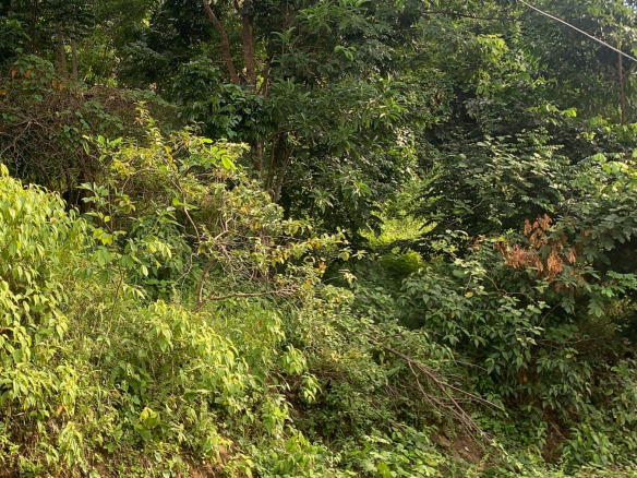 Land For Sale In Desrameaux Babonneau