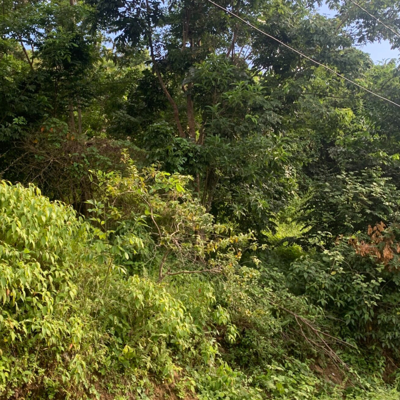 Land For Sale In Desrameaux Babonneau