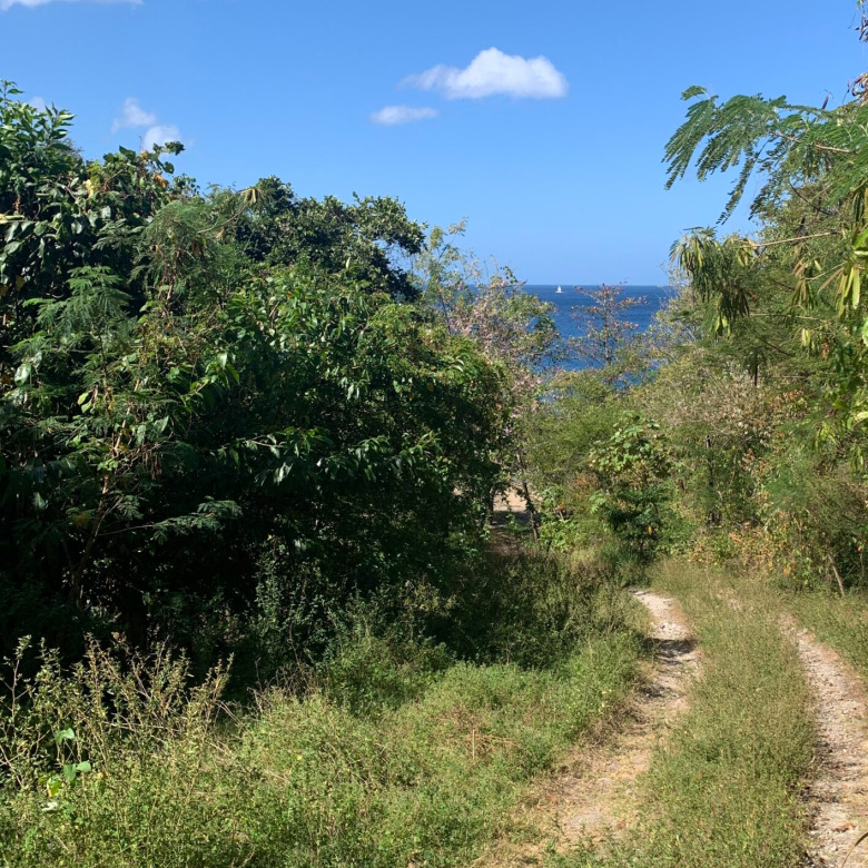 Beach Property For Sale In Anse La Raye