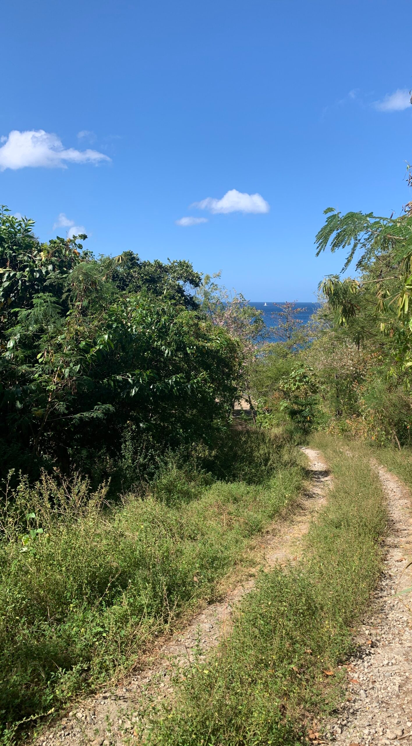 Beach Property For Sale In Anse La Raye