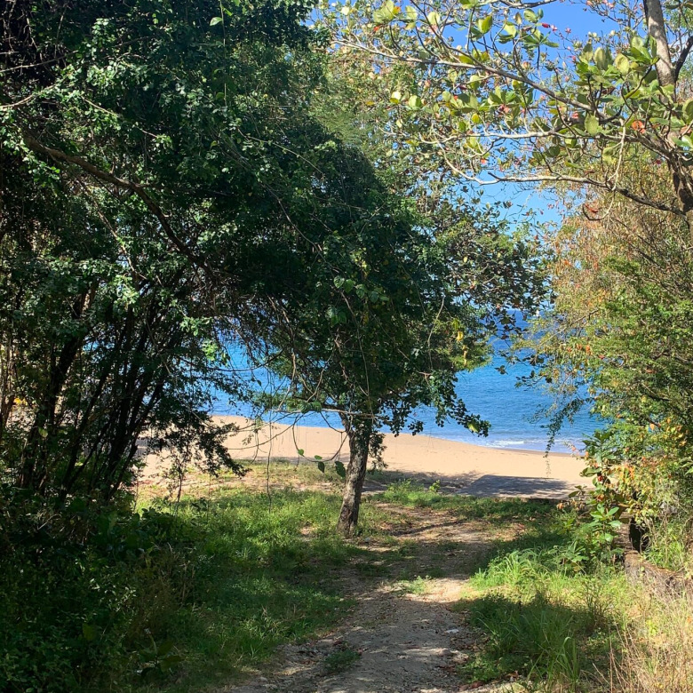 Beach Property For Sale In Anse La Raye