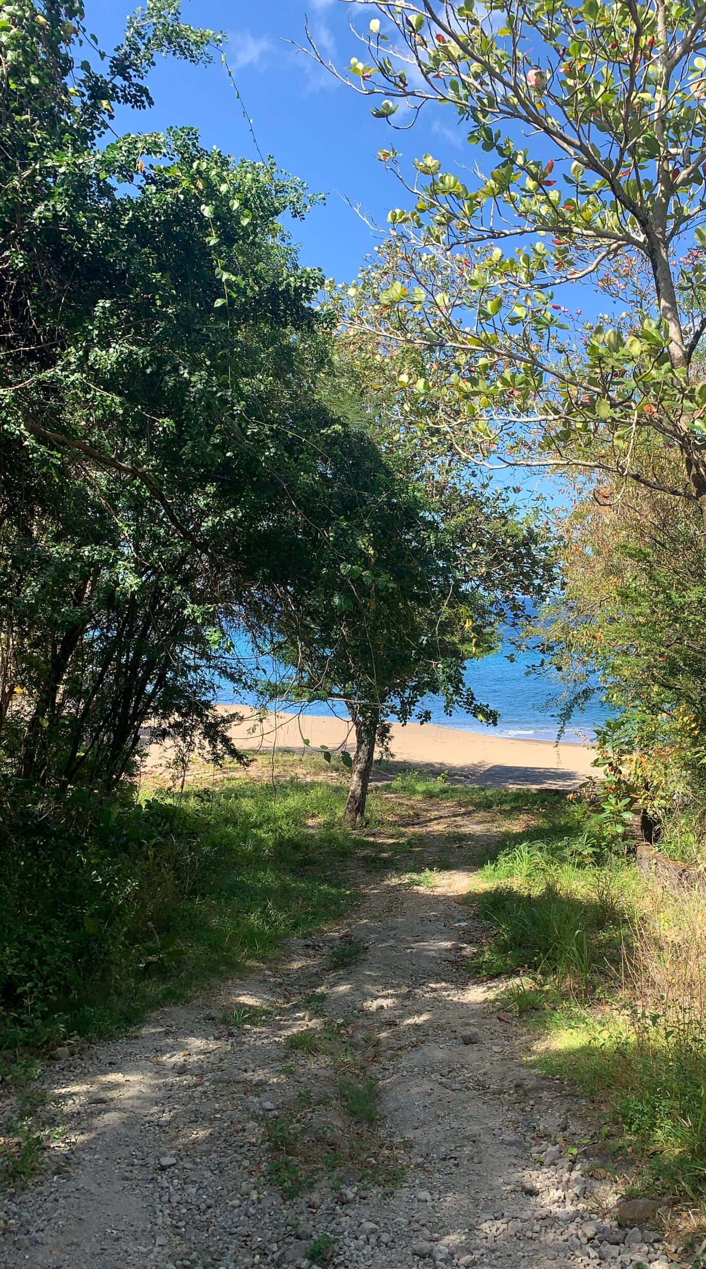 Beach Property For Sale In Anse La Raye