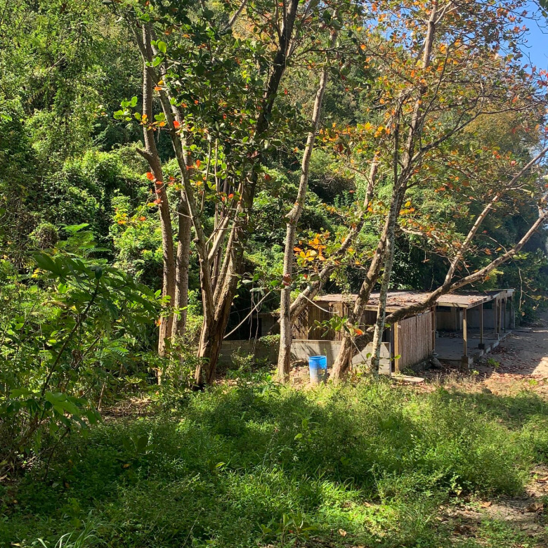 Beach Property For Sale In Anse La Raye