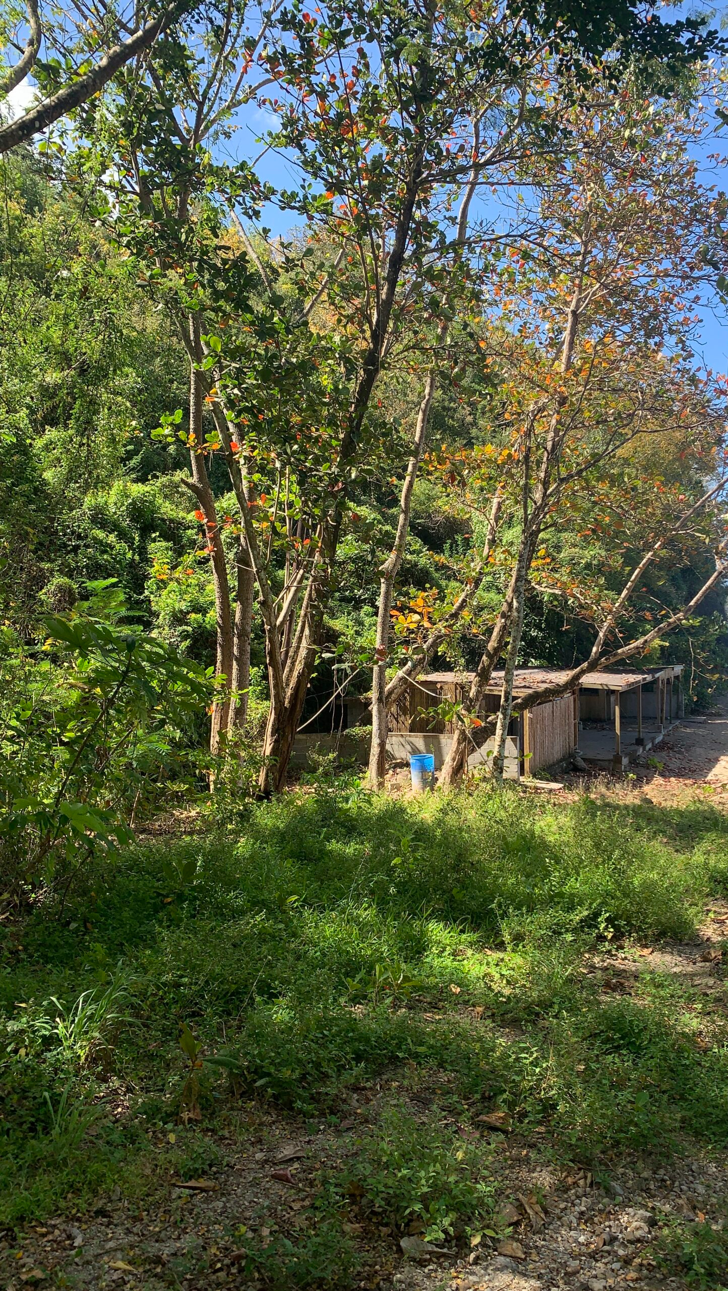 Beach Property For Sale In Anse La Raye
