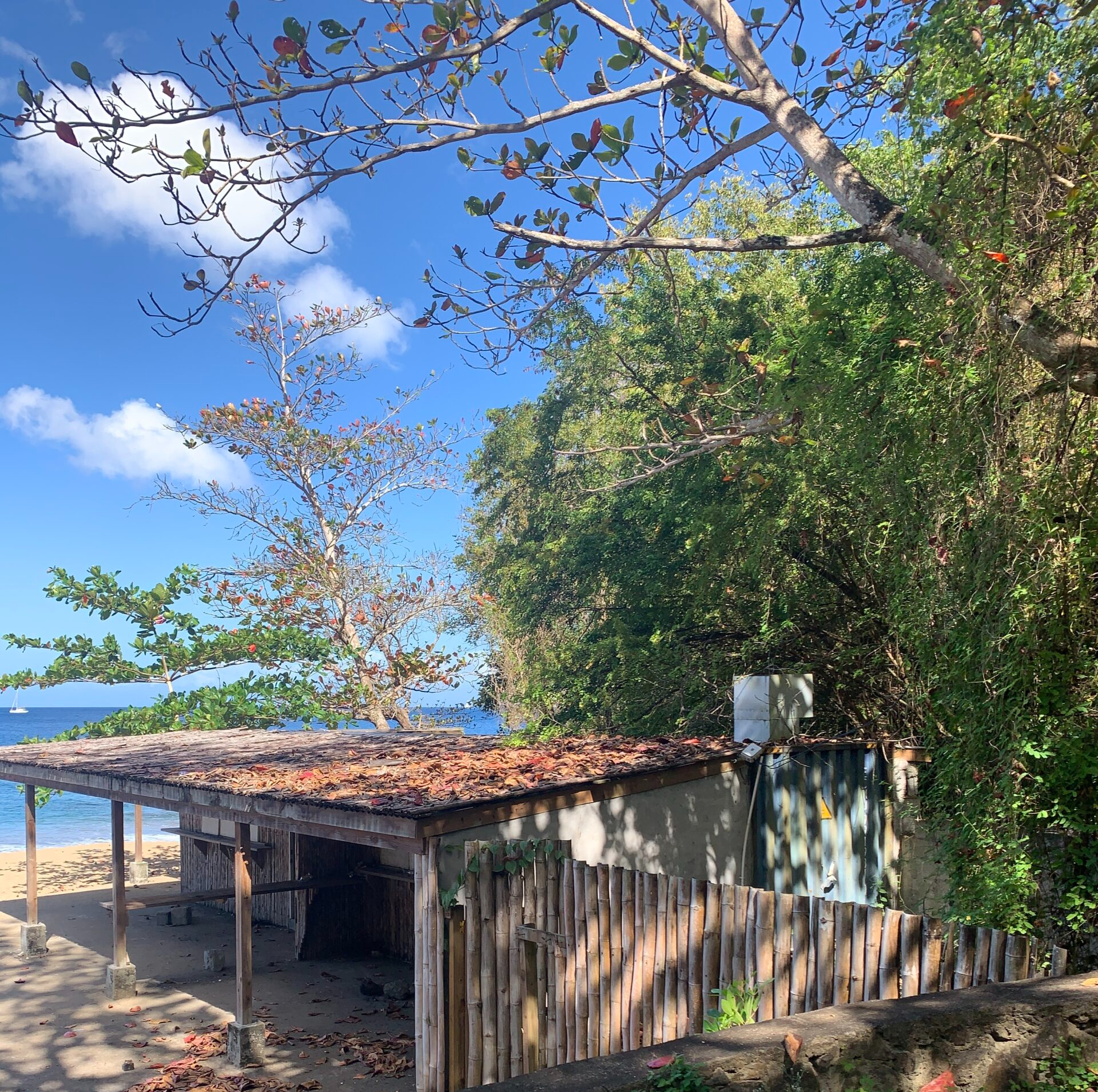 Beach Property For Sale In Anse La Raye