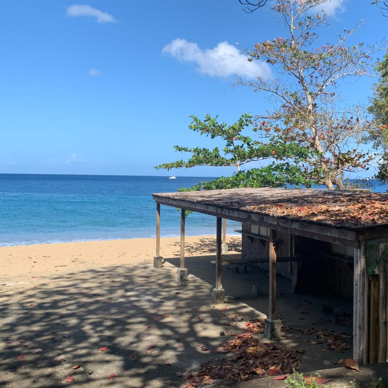 Beach Property For Sale In Anse La Raye